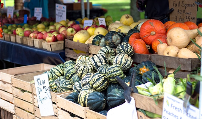 frische Ware vom Farmers Market Cape Breton Kanada 