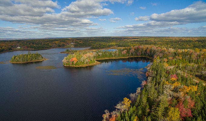 Luftaufnahme Immobilien Kanada Seegrundstück Herbst