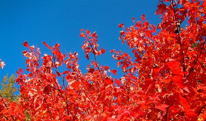 Indian Summer in Nova Scotia - eindrucksvolle Farben und Landschaften 