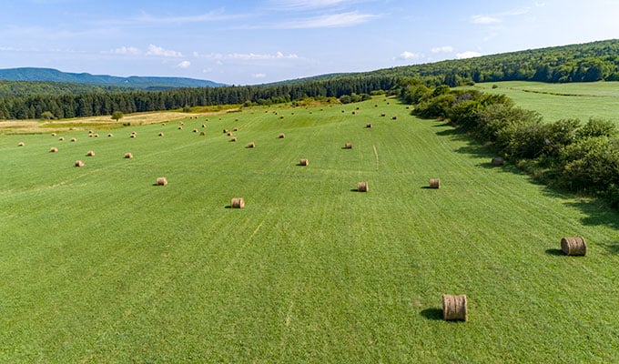 Wiese mit Rundballen für landwirtschaftliche Betriebe - Grundstücke in Kanada 