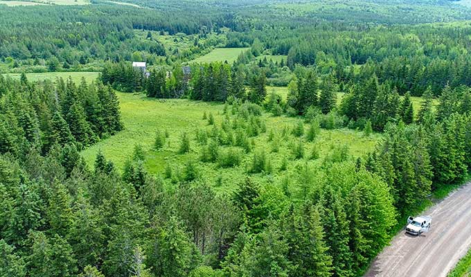 Wiesengrundstück-Cape Breton Island-Field Estates