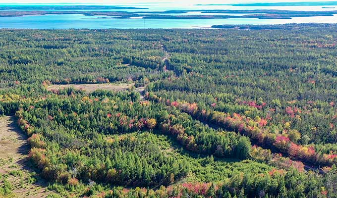 Immobilien-Cape Breton-Hobby Farm Estates