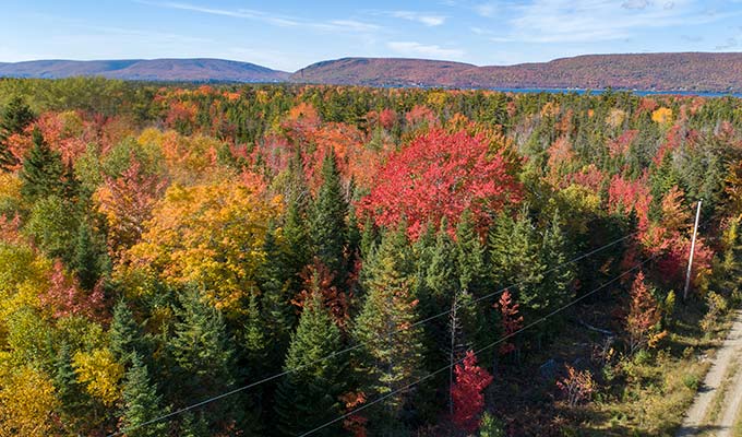 Immobilie-Cape Breton-Whycocomagh Bay Estates